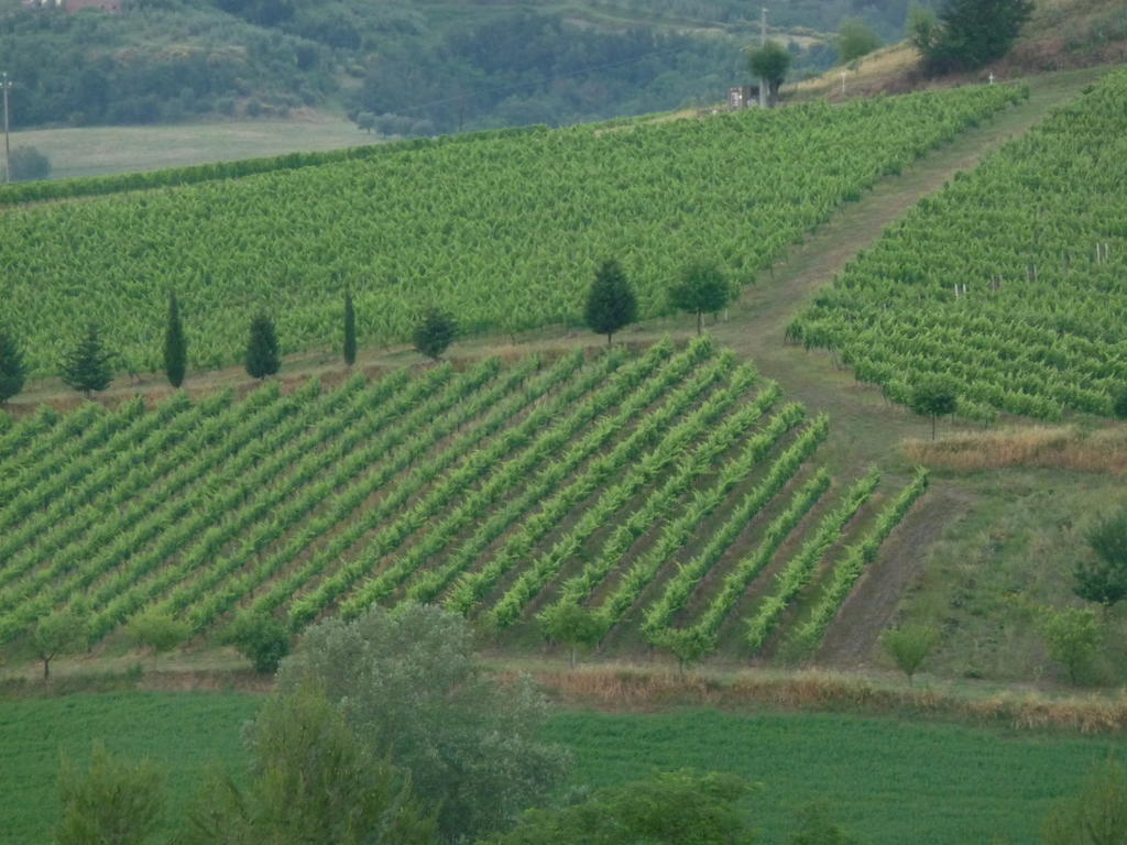 Azienda Agricola Ed Agrituristica Cafaggio Villa San Miniato Exterior foto